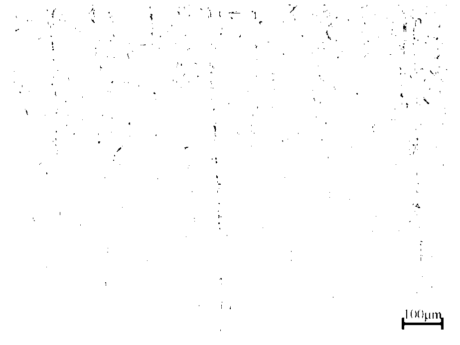 Preparation method of micro/nano-structure ultrahigh-strength plastic stainless steel containing Nb