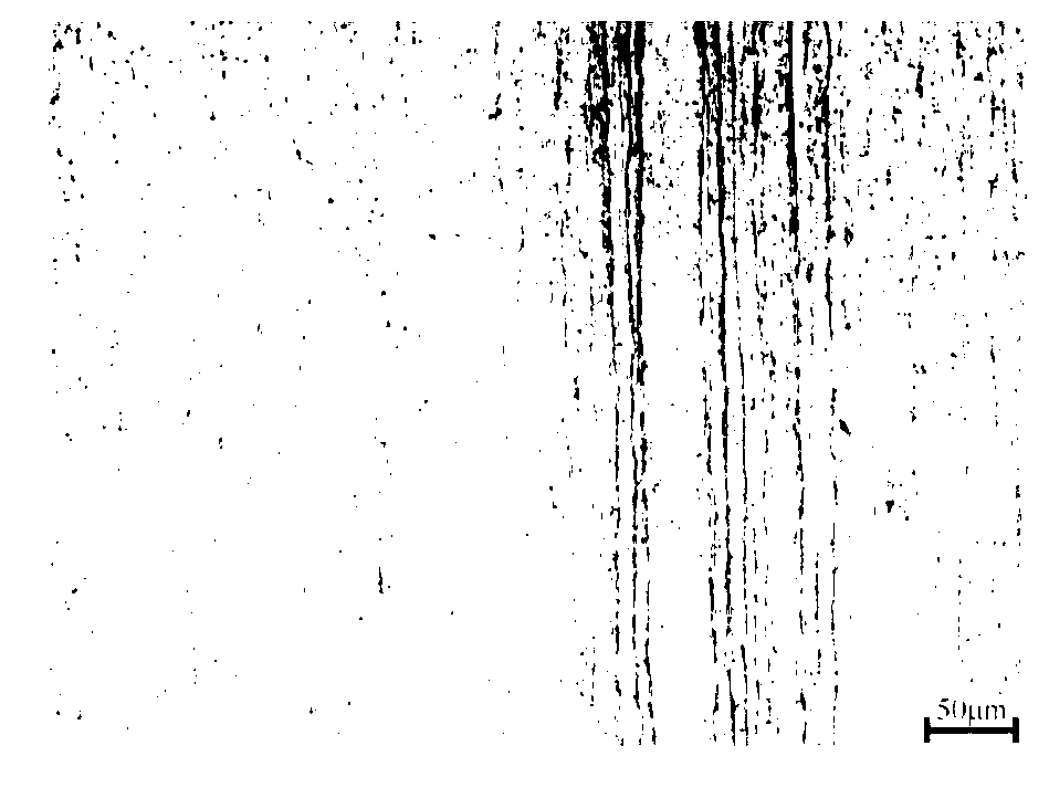 Preparation method of micro/nano-structure ultrahigh-strength plastic stainless steel containing Nb