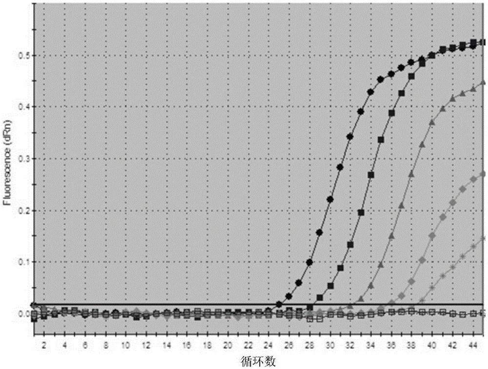 Reagent kit for influenza a H3N2 type fluorescent PCR diagnosis and use method thereof