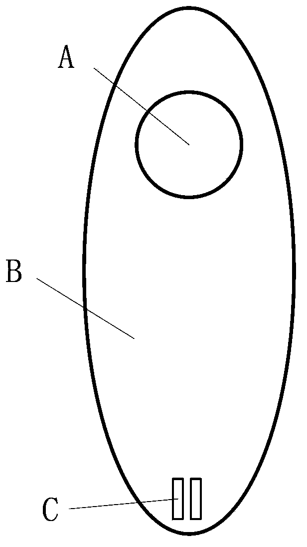 Earphone and information processing method