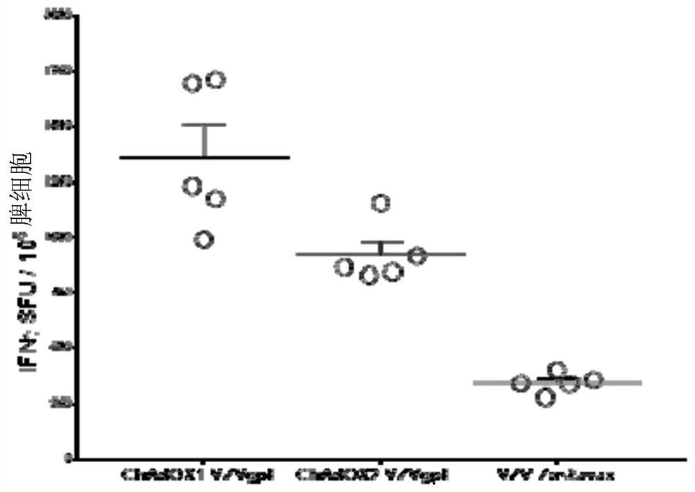 Compositions and methods