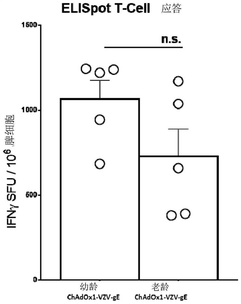 Compositions and methods