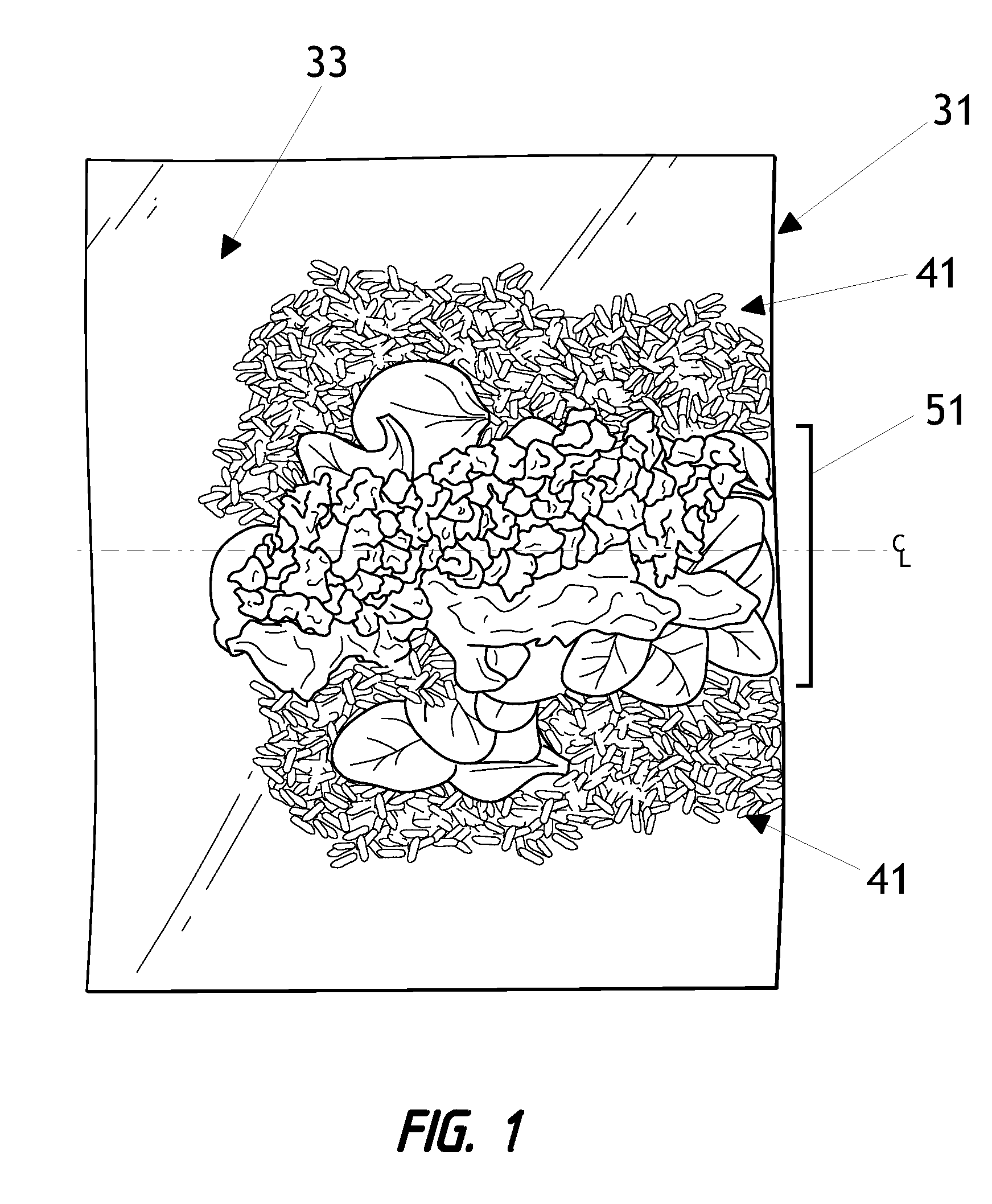 Packaged food product and method of making same