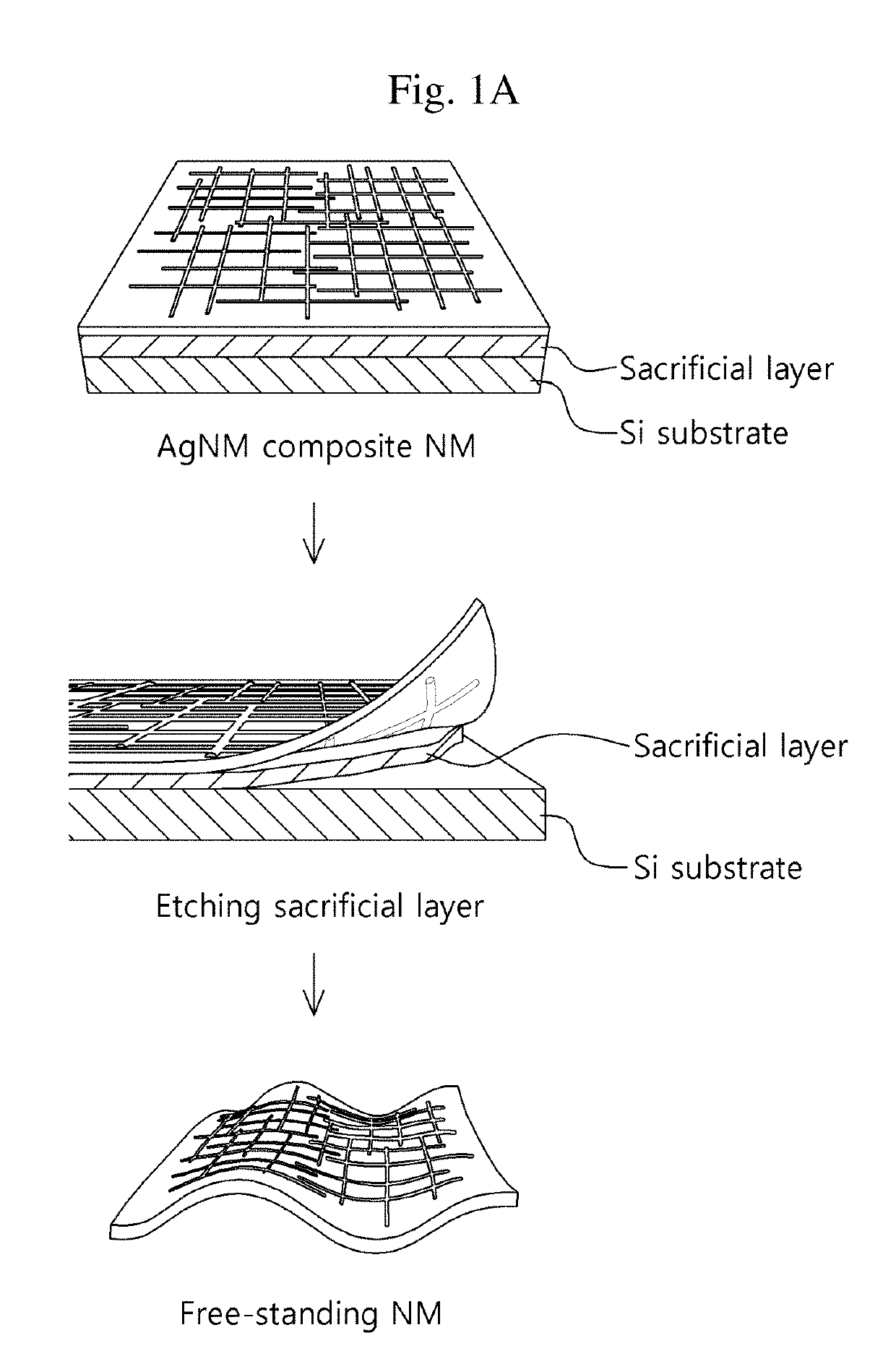 NANO membrane, method of manufacturing NANO membrane, and apparatus for speaker and microphone using NANO membrane