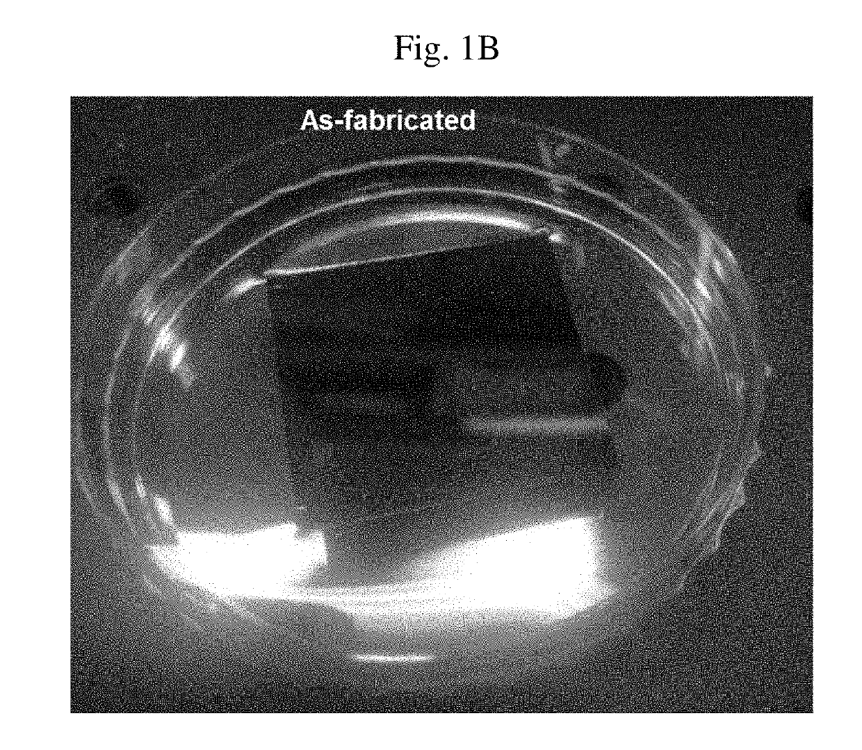 NANO membrane, method of manufacturing NANO membrane, and apparatus for speaker and microphone using NANO membrane