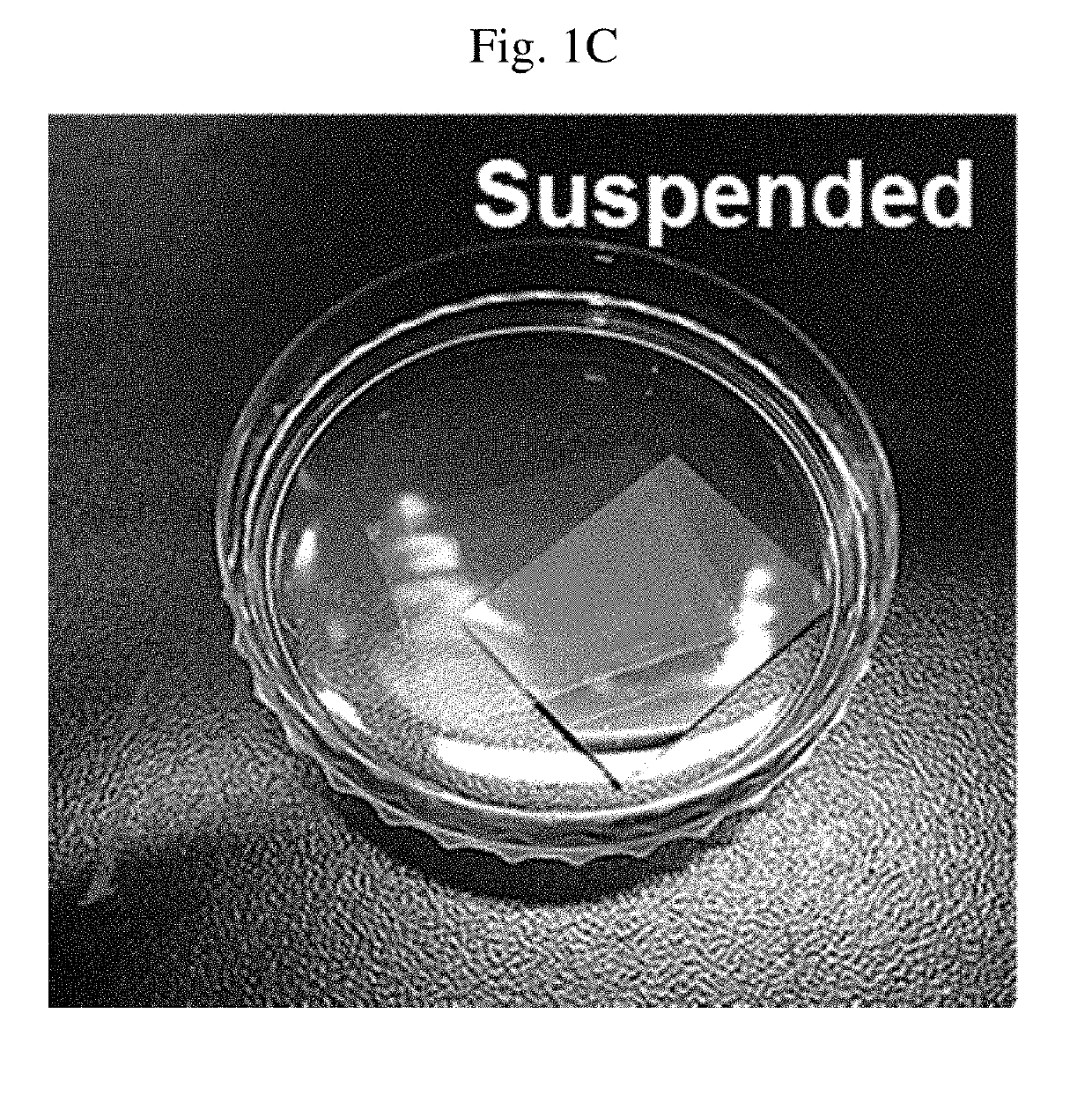 NANO membrane, method of manufacturing NANO membrane, and apparatus for speaker and microphone using NANO membrane