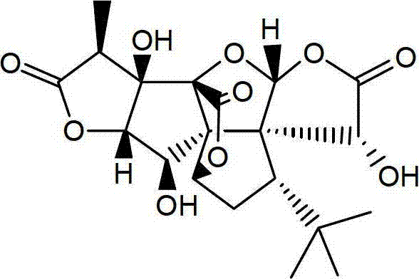 Ginkgolide B lipid microsphere injection