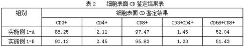 A kind of preparation method of cytotoxic T cell