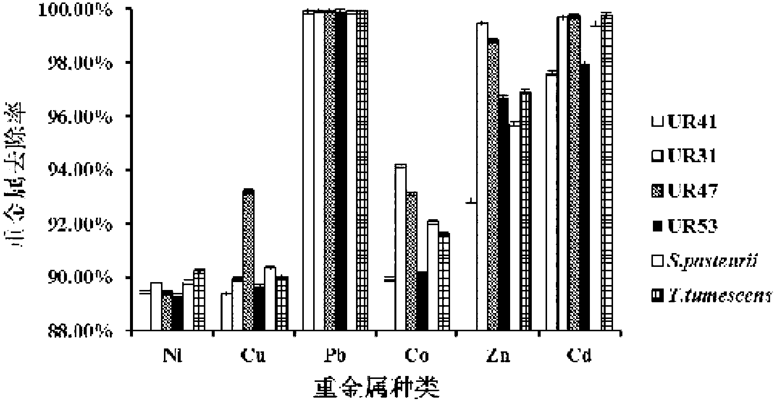 Urease-producing microbes and curing method for heavy metals in foundation