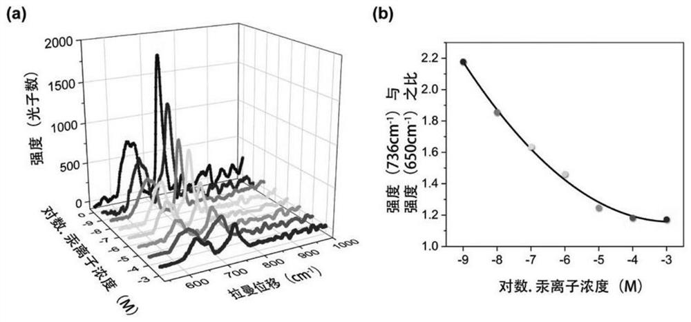 Quantitative detection method for mercury ions based on surface enhanced Raman scattering technology