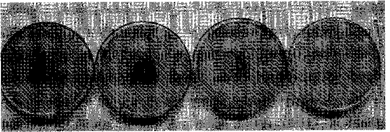 N-acylhomoserine lactonas, production method thereof and special recombinant bacterium