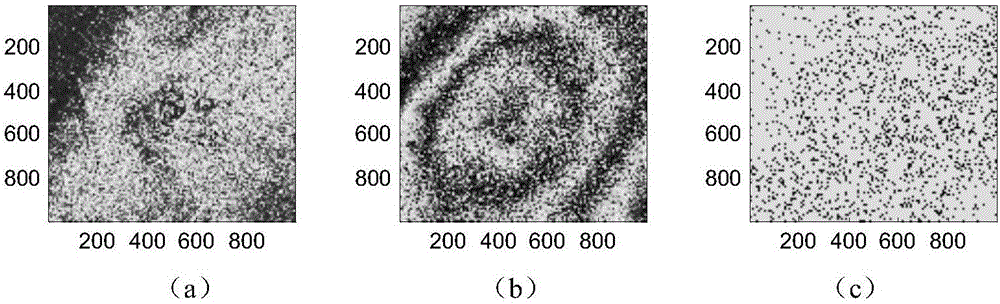 Wavelet domain interferometric synthetic aperture radar phase filtering method and apparatus