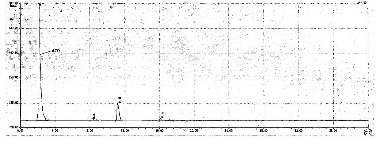 Method for preparing glutathione through enzyme method