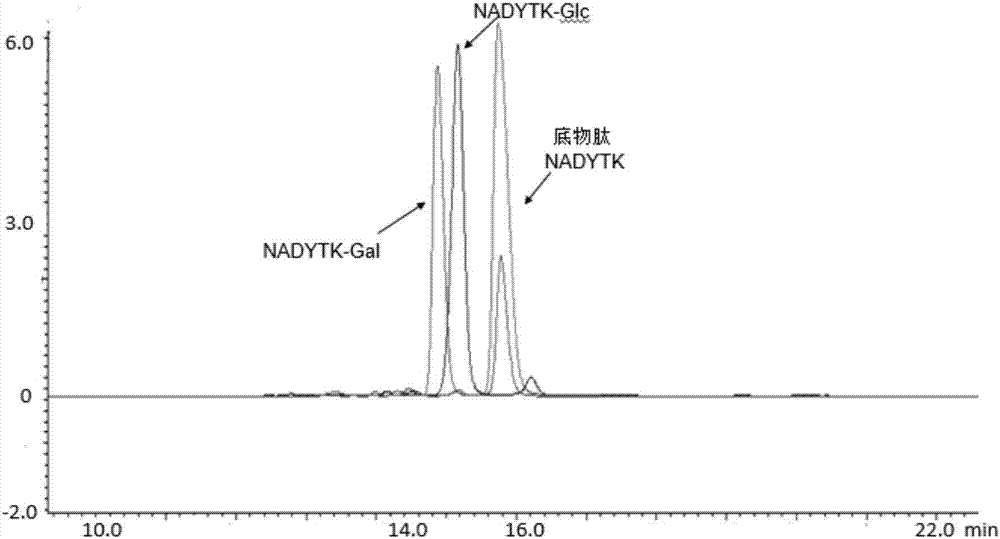 Trans-N-glycosidase BtNGT and application thereof