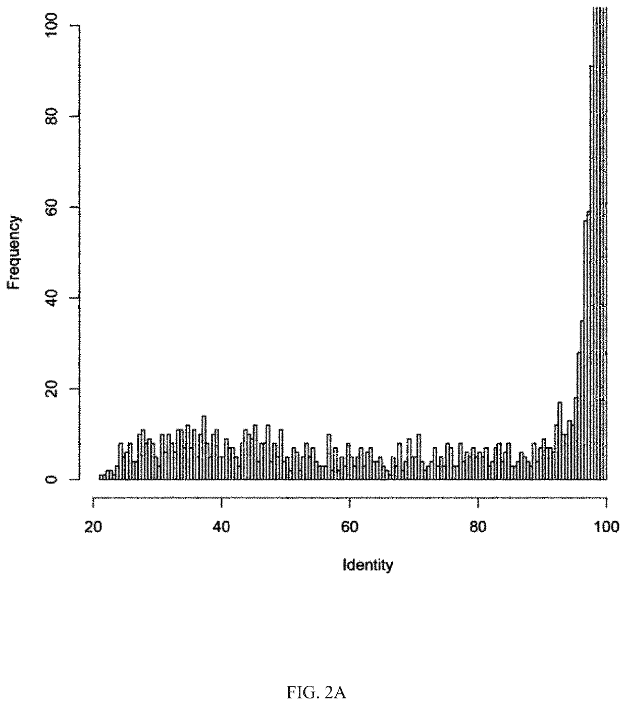 Method of preventing or treating obesity using a novel strain of parabacteroides goldsteinii