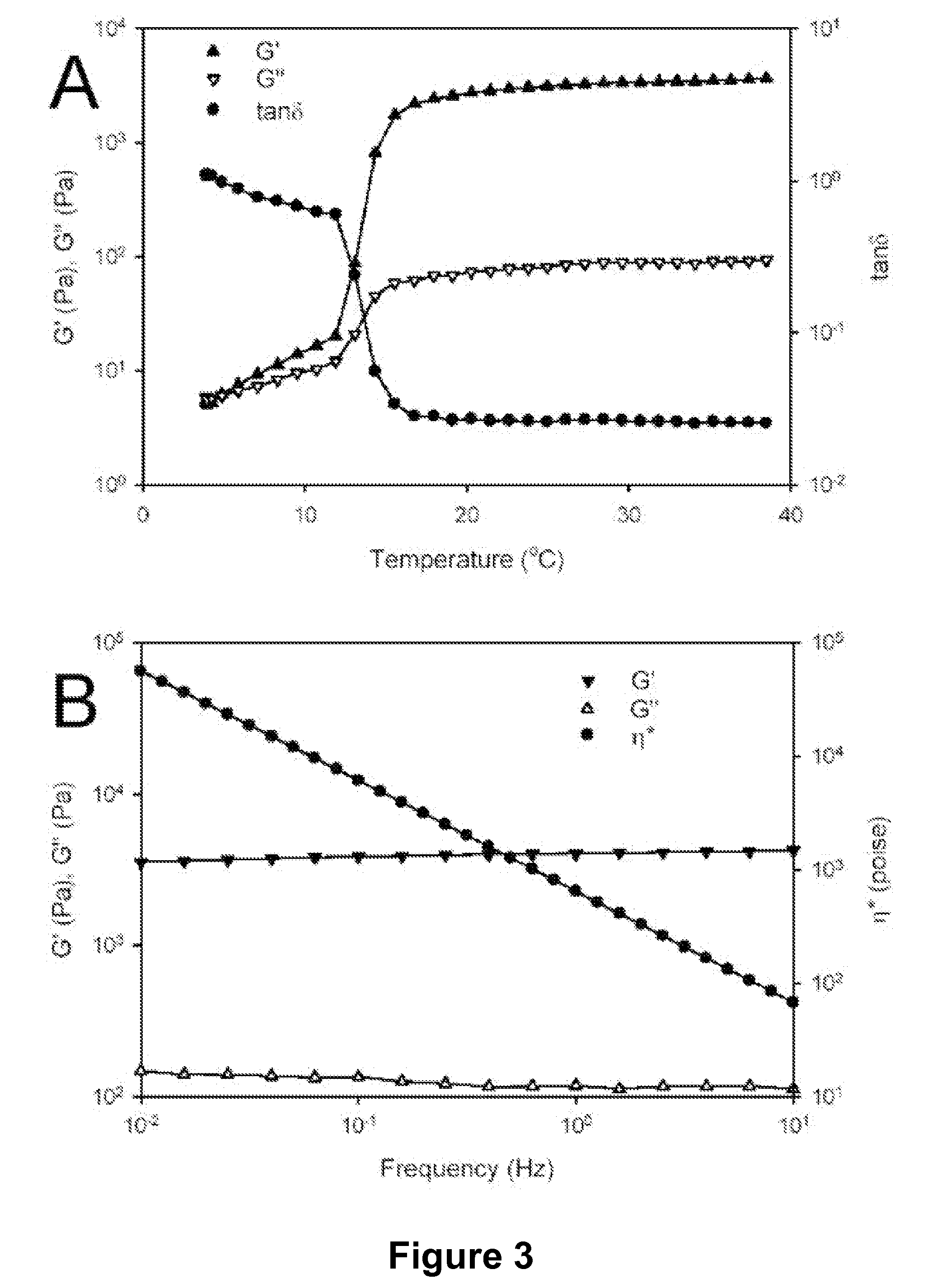 Modified protein polymers