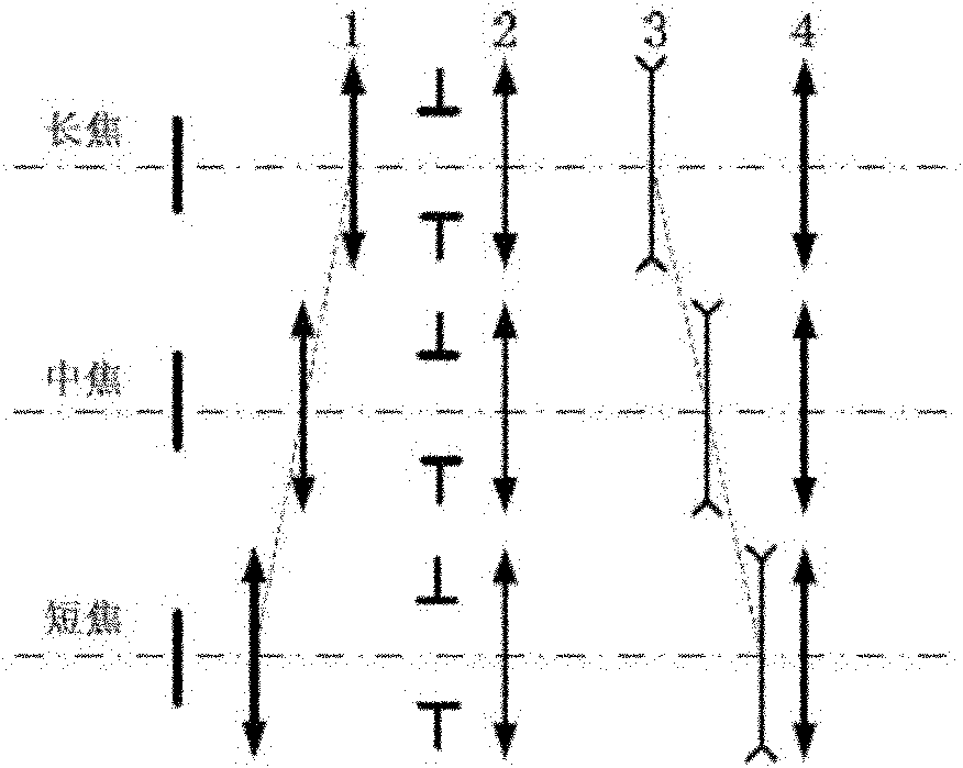 Device and method for measuring atmospheric absorption coefficient based on phase perturbation