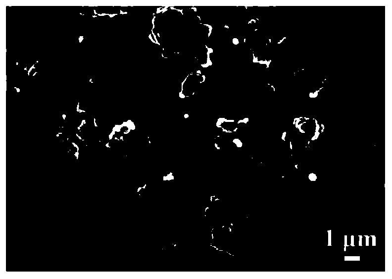 Multifunctional compound fabric and production method thereof