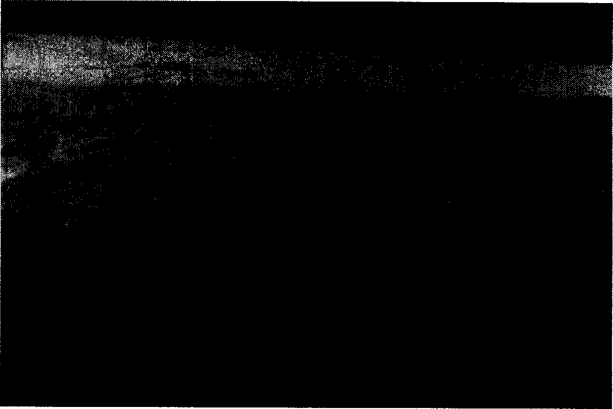 Preparation method of high-flux porous membrane