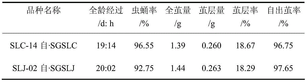 Breeding method and application of robust self-cocoon-emerging stripe double sex-limited marking domestic silkworm variety