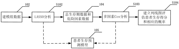 Method and system for predicting survival rate after lung cancer operation