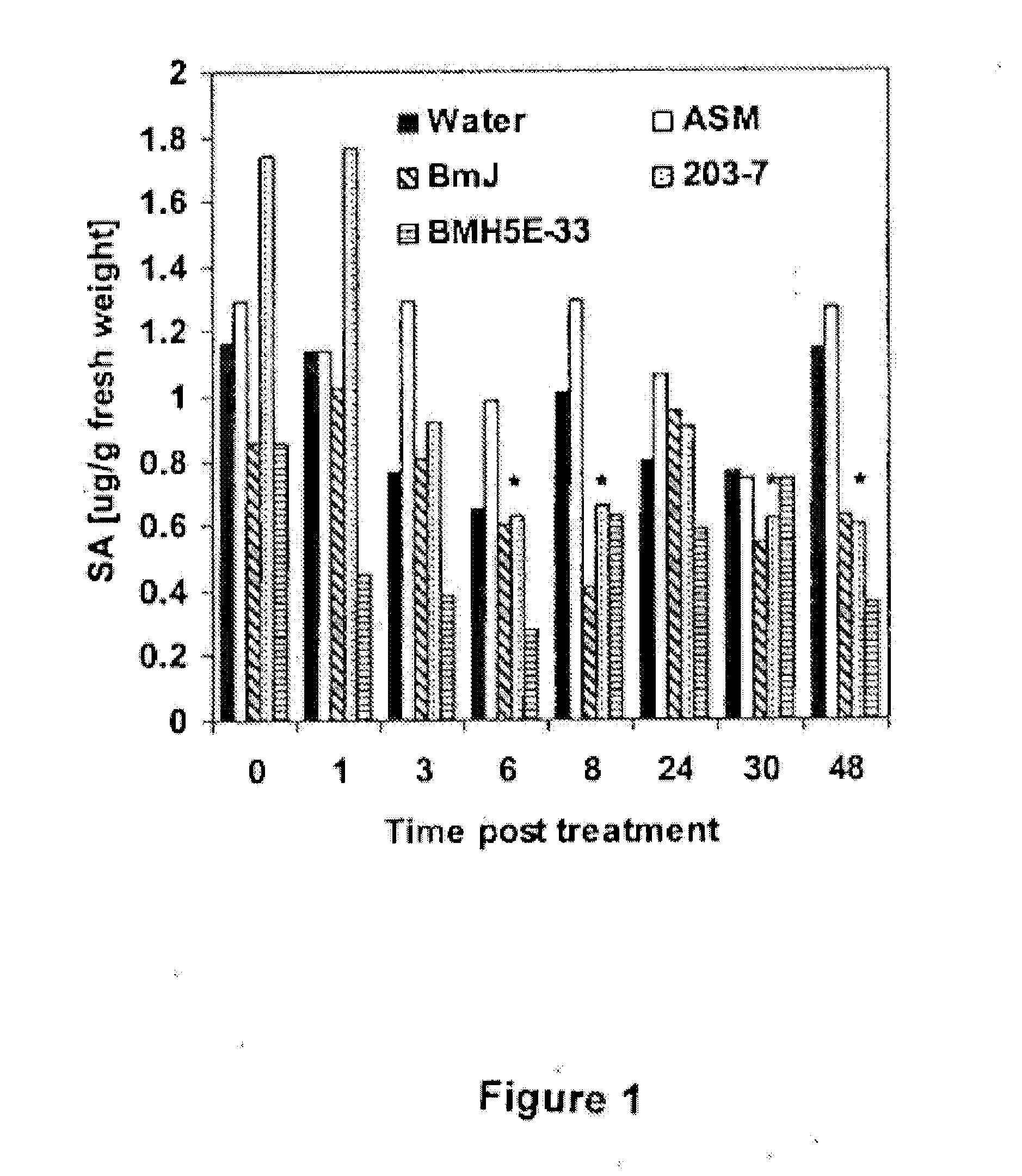 Bacillus isolates and methods of their use to protect against plant pathogens and virus transmission