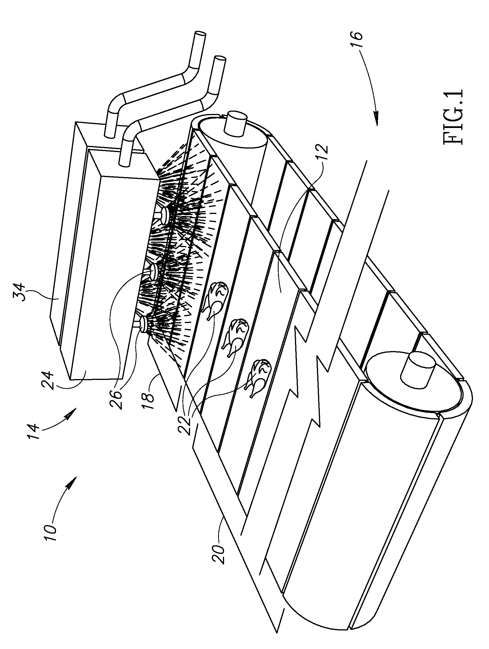 Ozone-based conveyor cleaning system