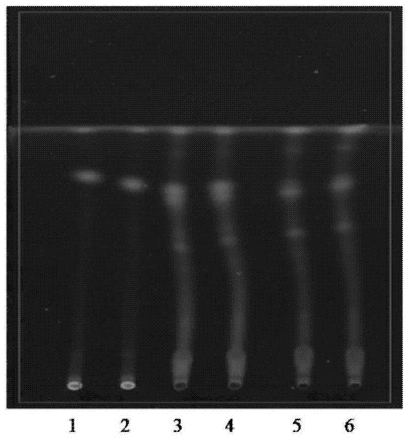 Thin-layer chromatography detection method for pharmaceutical composition