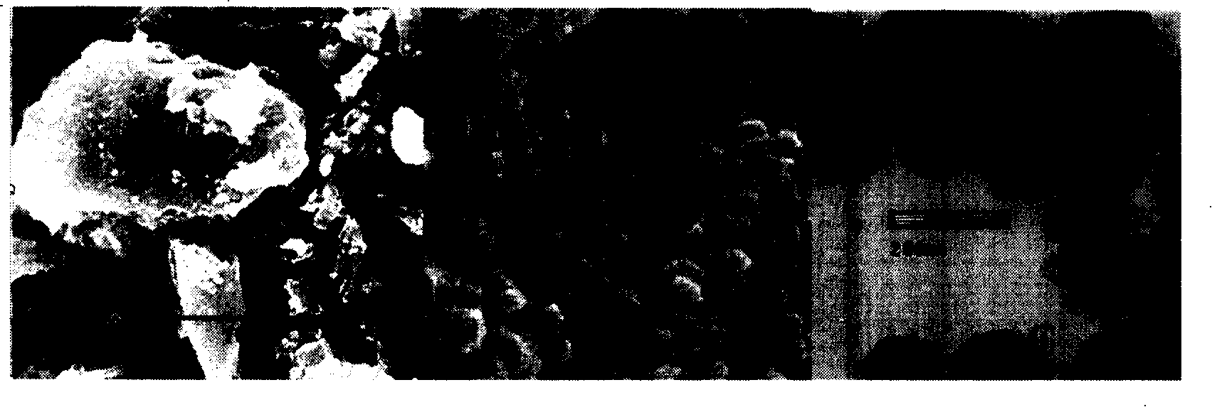 Method for extracting melanin from black-bone chicken