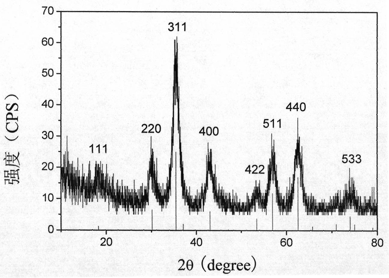 Water-soluble nuclear-shell magneto-optic dual-function nanoparticle and preparation method thereof