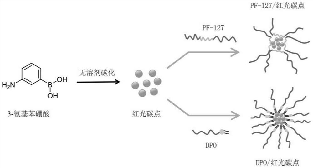 Preparation method and application of red light carbon dots and micelles