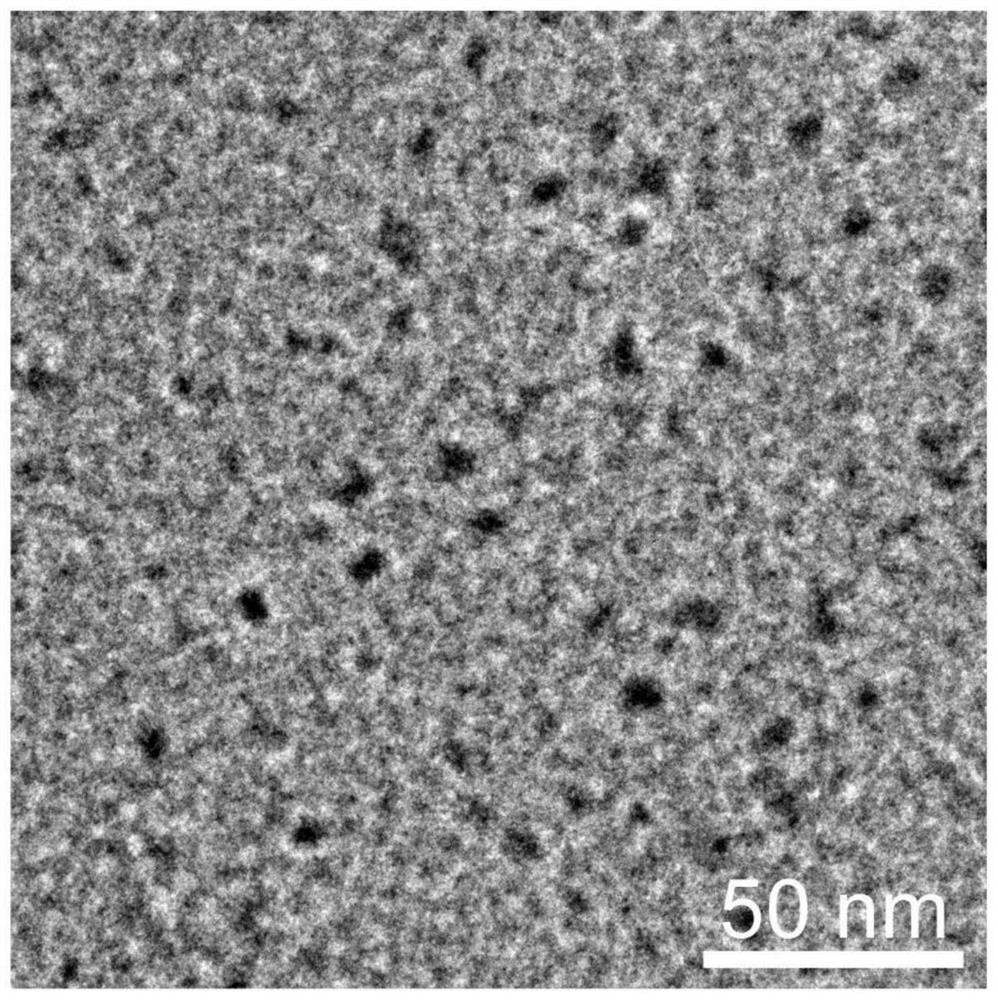 Preparation method and application of red light carbon dots and micelles