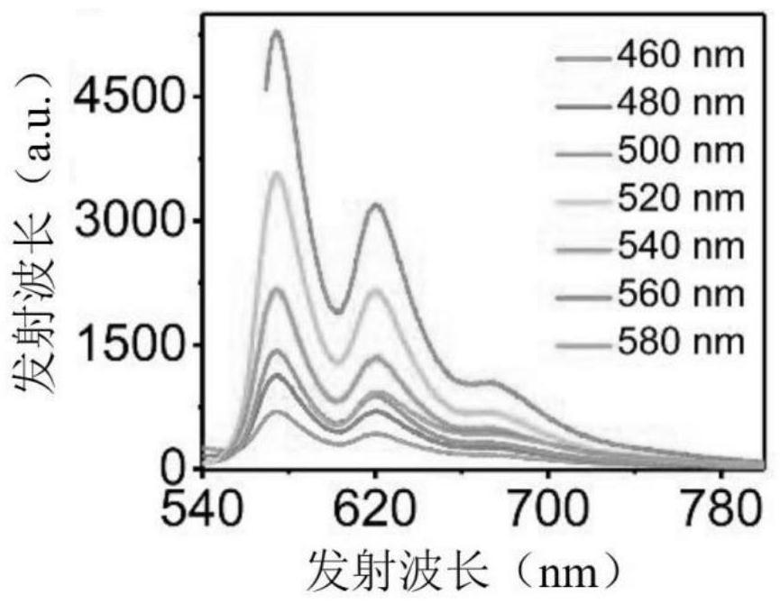 Preparation method and application of red light carbon dots and micelles