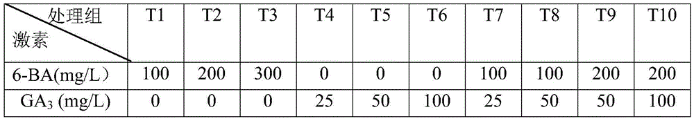 Method for regulating flowering phase of cymbidium ensifolium