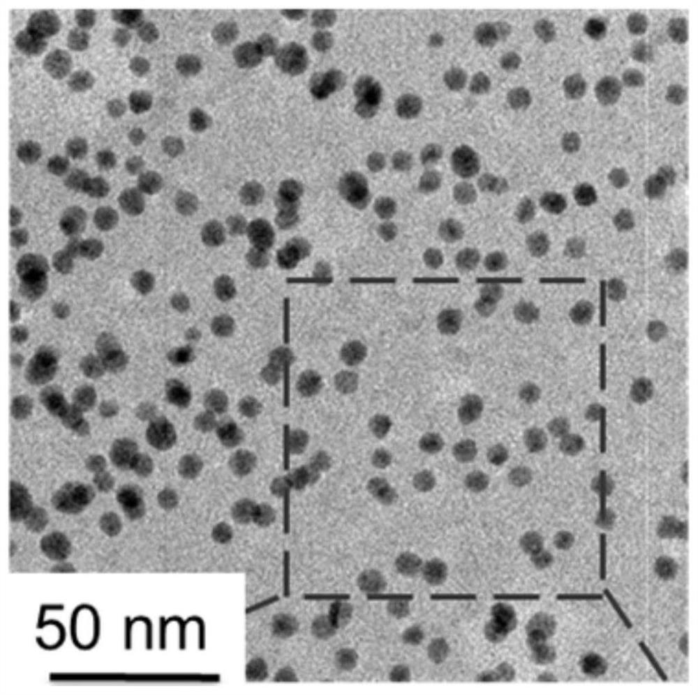 Antibacterial nanomaterial, and preparation method and application thereof