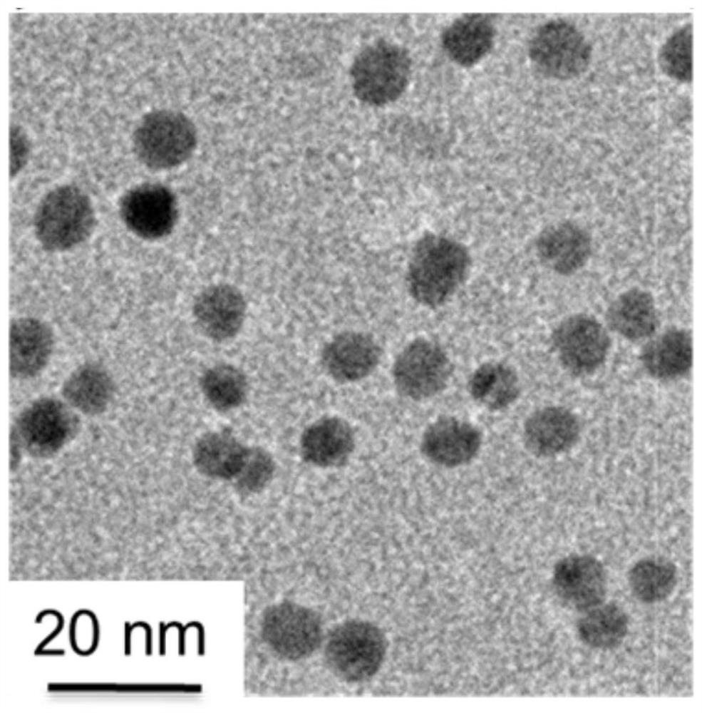 Antibacterial nanomaterial, and preparation method and application thereof