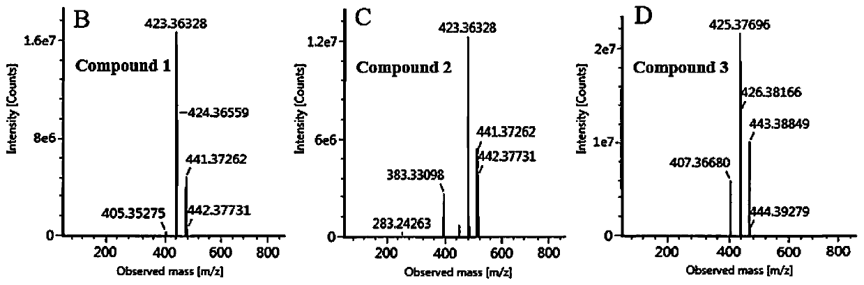 Method for heterologous production of linear triterpenes