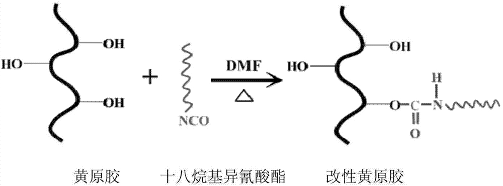 Hydrophobic association water-soluble xanthan gum and preparation method and application thereof