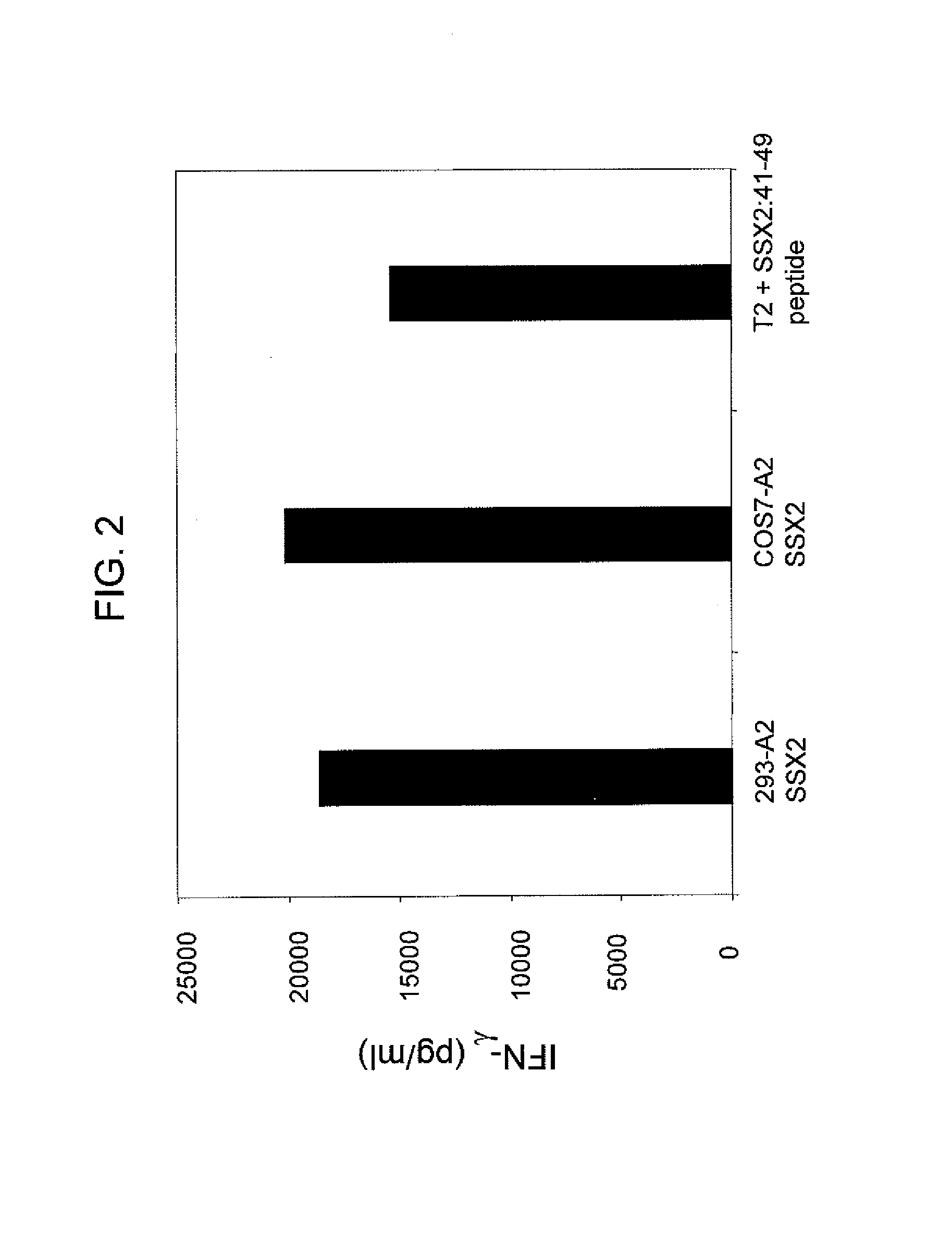 Anti-ssx-2 t cell receptors and related materials and methods of use