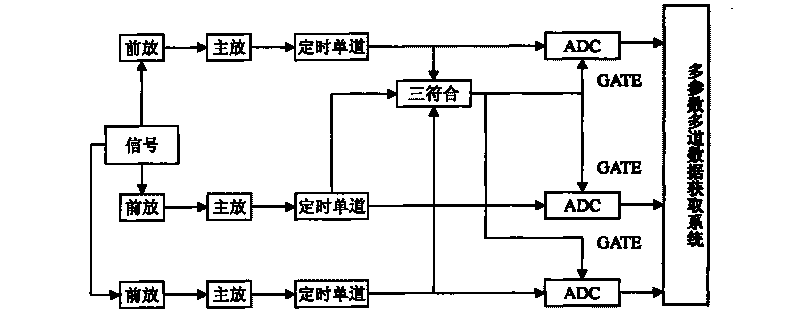 Digital coincidence multi-channel system for nuclear spectroscopy and nuclear electronics