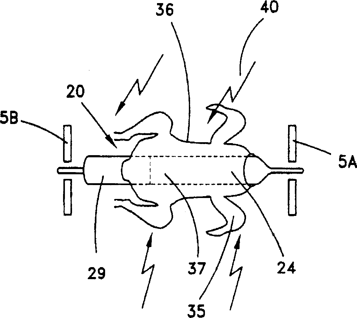 Rotisserie apparatus