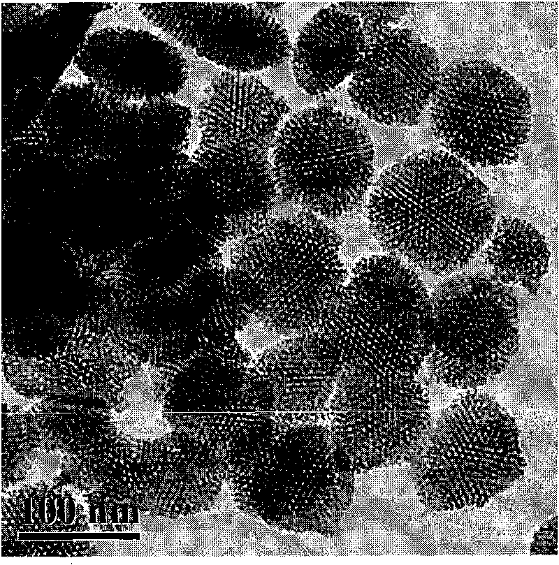 Ordered short-channel magnetic mesoporous material