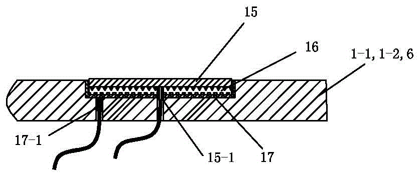 A rapid physical examination device