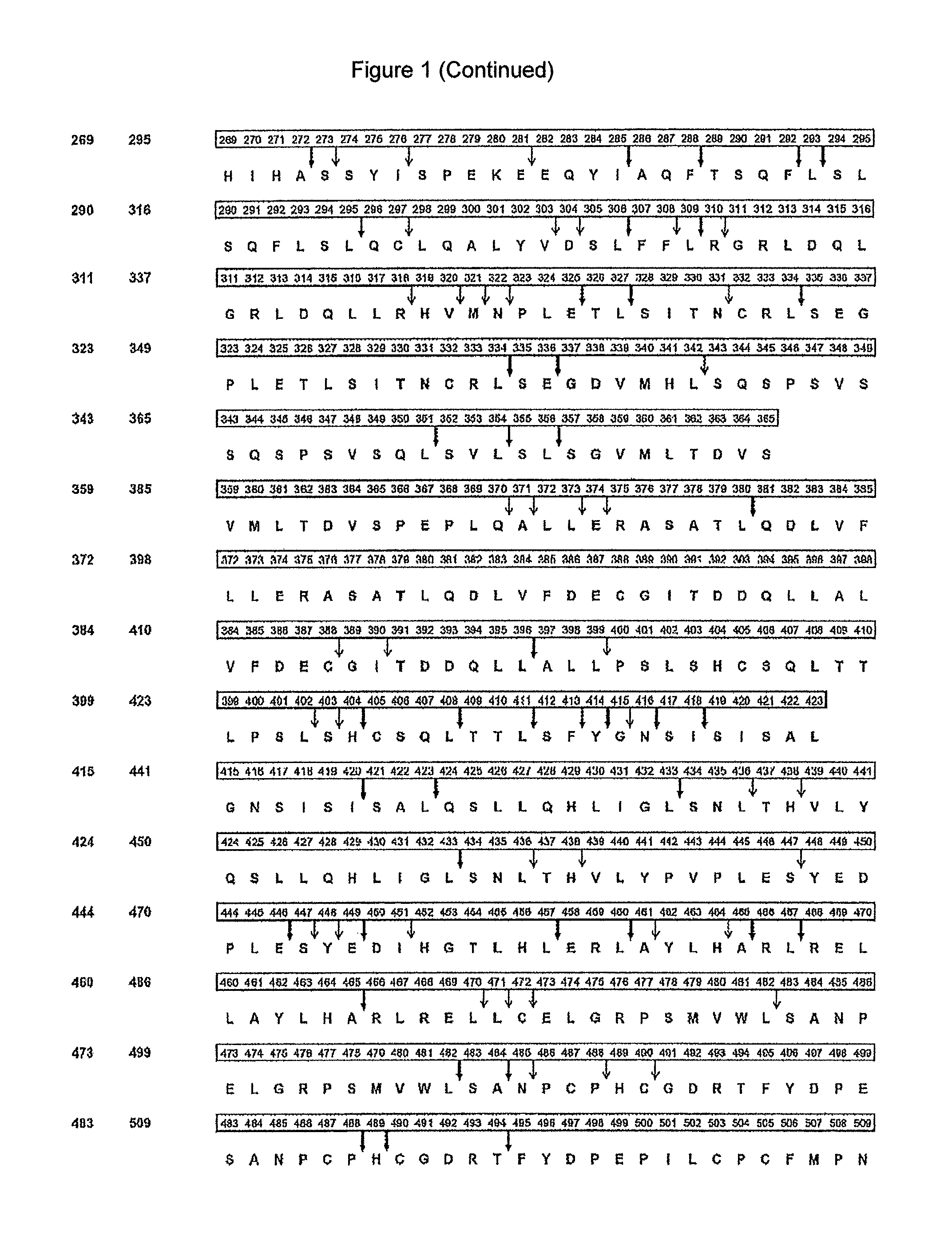 PRAME derived peptides and immunogenic compositions comprising these