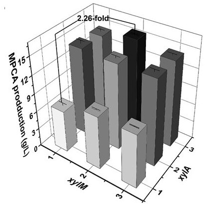 A kind of recombinant Escherichia coli producing 5-methylpyrazine-2 carboxylic acid