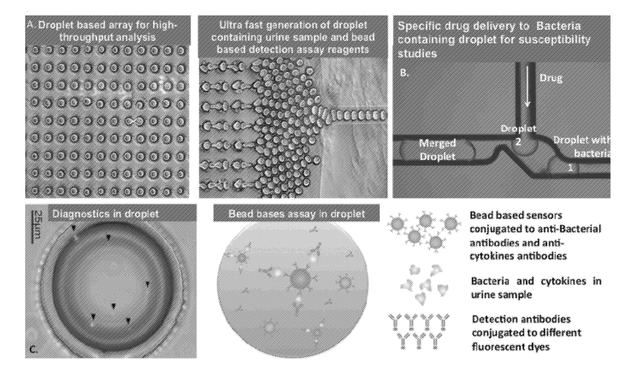 Microdroplet Based Bioassay Platform