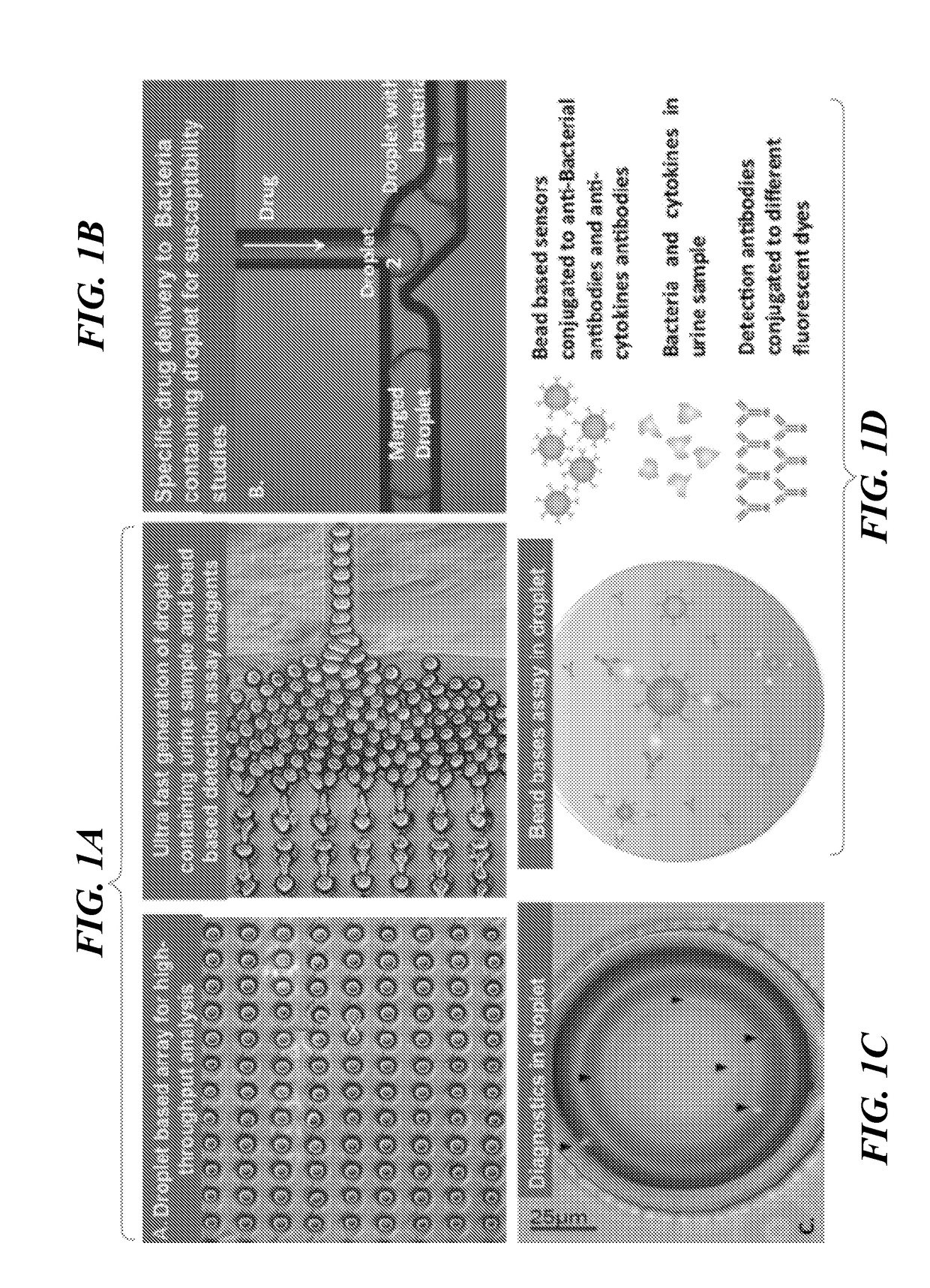 Microdroplet Based Bioassay Platform