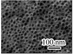 Halophile photosensitive protein-titanium dioxide nanotube composite and preparation method thereof