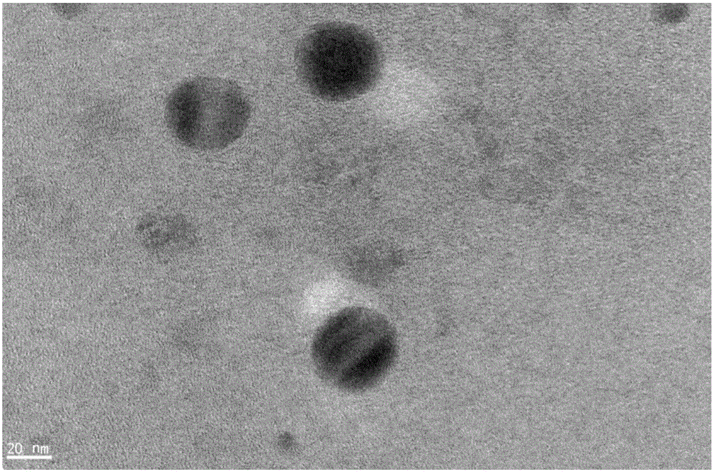 Aqueous phase microwave preparation method of CdSeTdS quantum dot-polyacrylamide nanoparticles