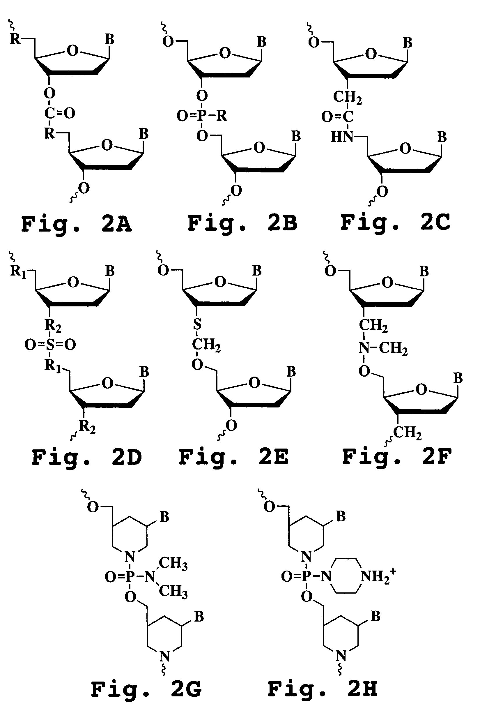 Antisense antiviral compound and method for treating arenavirus infection